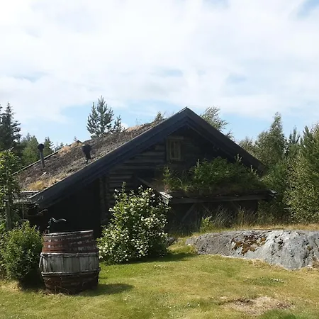 Norwegian Idyll - Authentic In A Log *