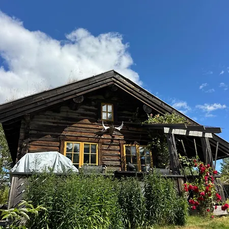 Norwegian Idyll - Authentic In A Log *